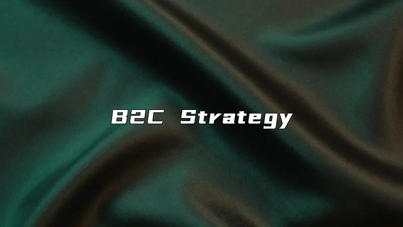 B2C Strategy