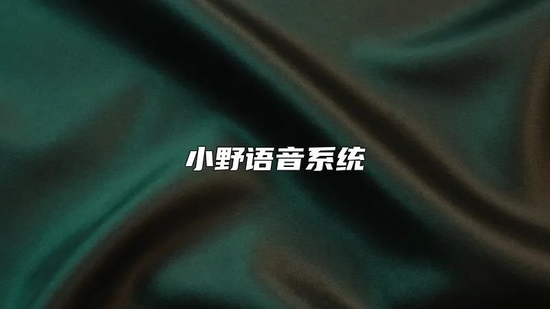 小野语音系统
