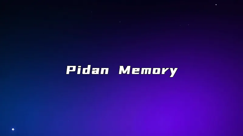 Pidan Memory