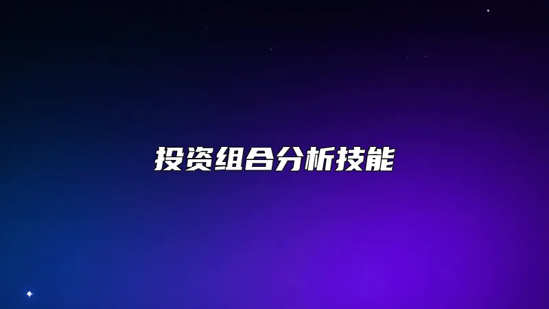 投资组合分析技能