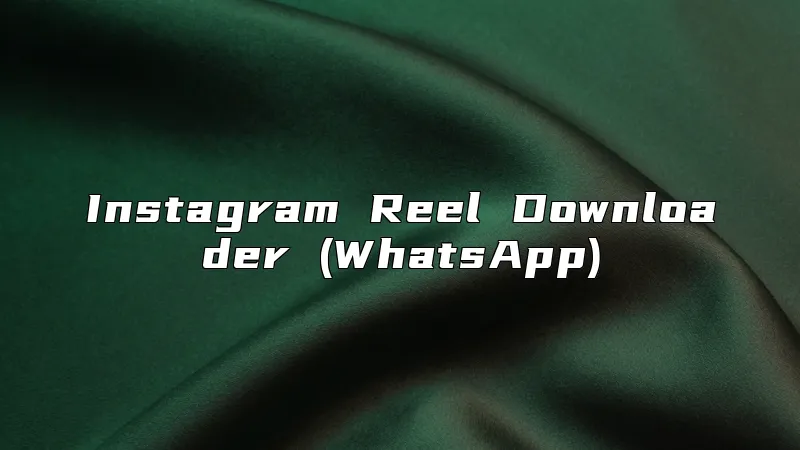 Instagram Reel Downloader (WhatsApp)