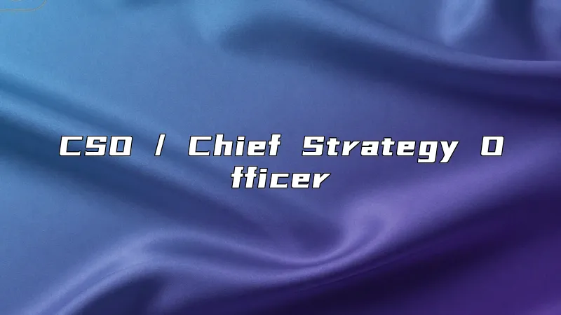 CSO / Chief Strategy Officer