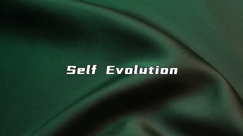 Self Evolution