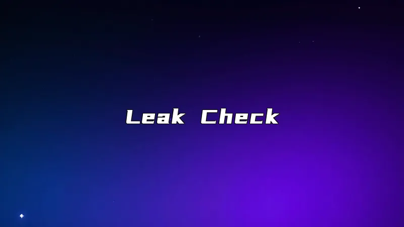 Leak Check