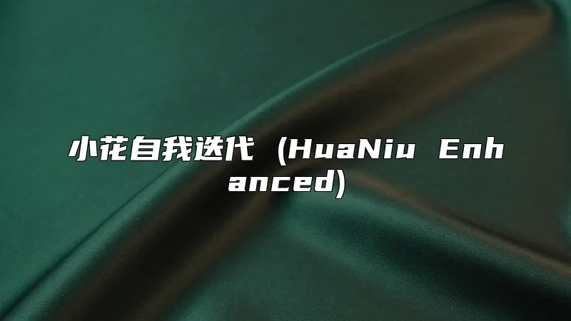 小花自我迭代 (HuaNiu Enhanced)
