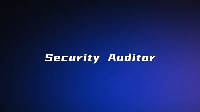 Security Auditor