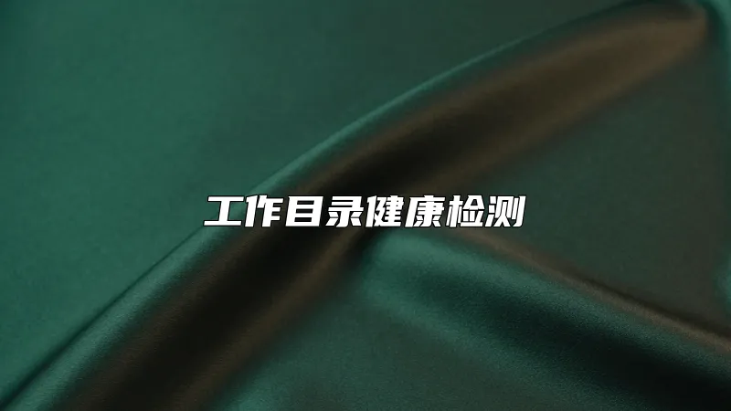 工作目录健康检测