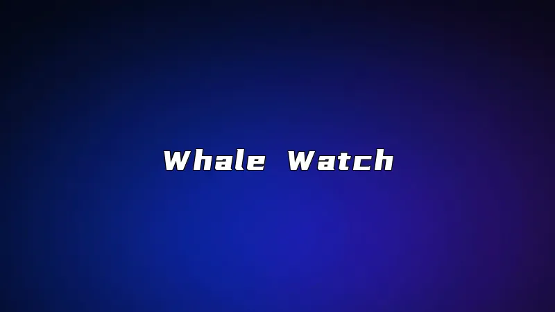 Whale Watch