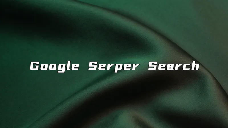 Google Serper Search