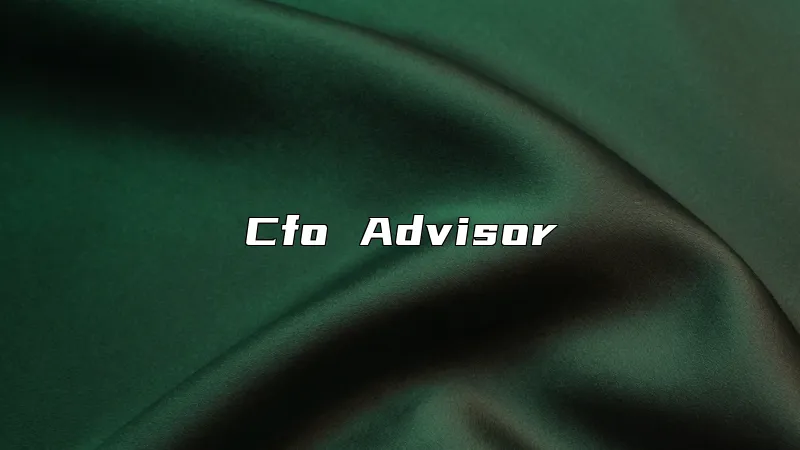 Cfo Advisor