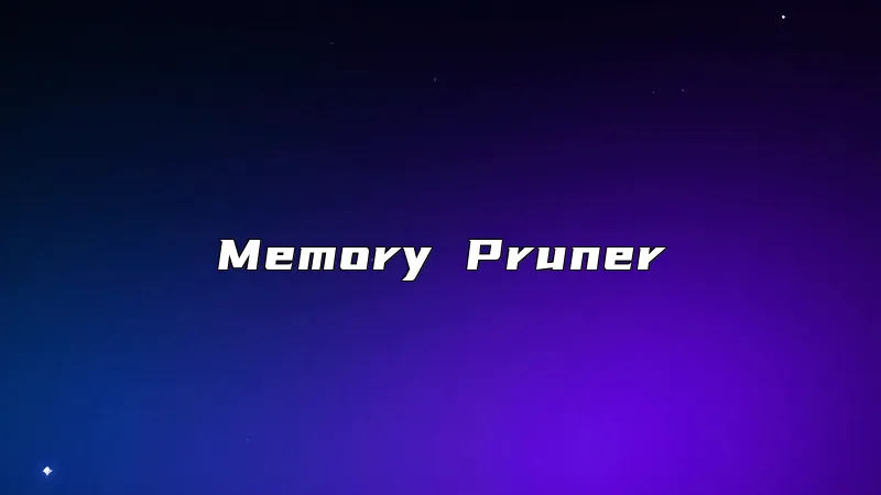 Memory Pruner