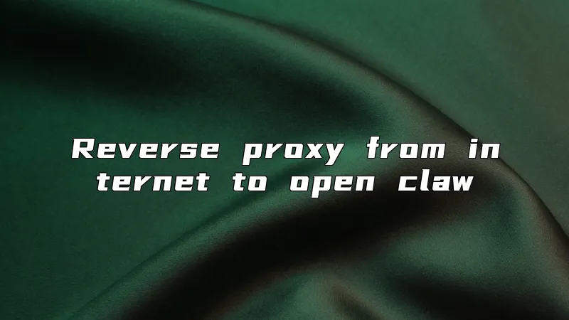 Reverse proxy from internet to open claw