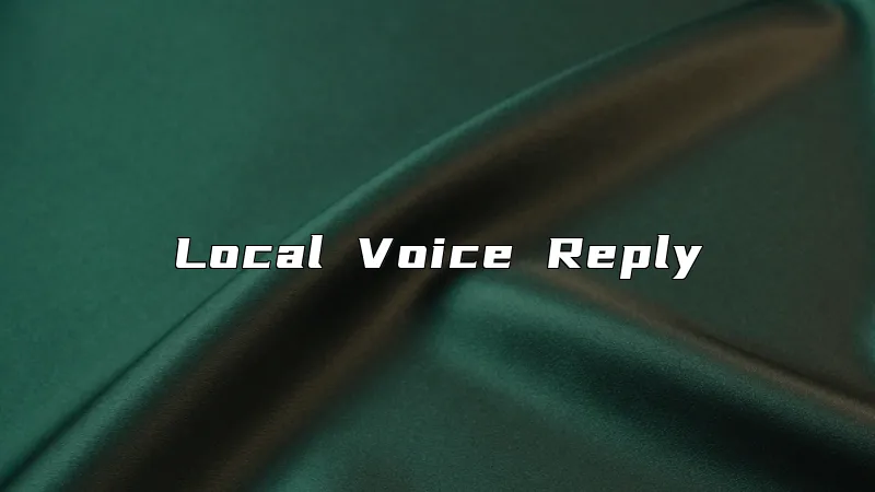 Local Voice Reply