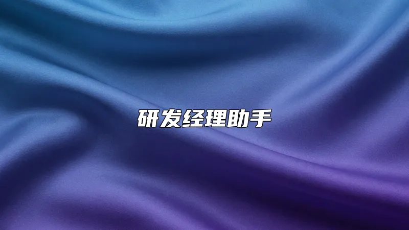 研发经理助手