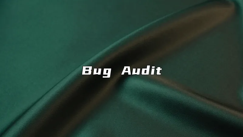 Bug Audit