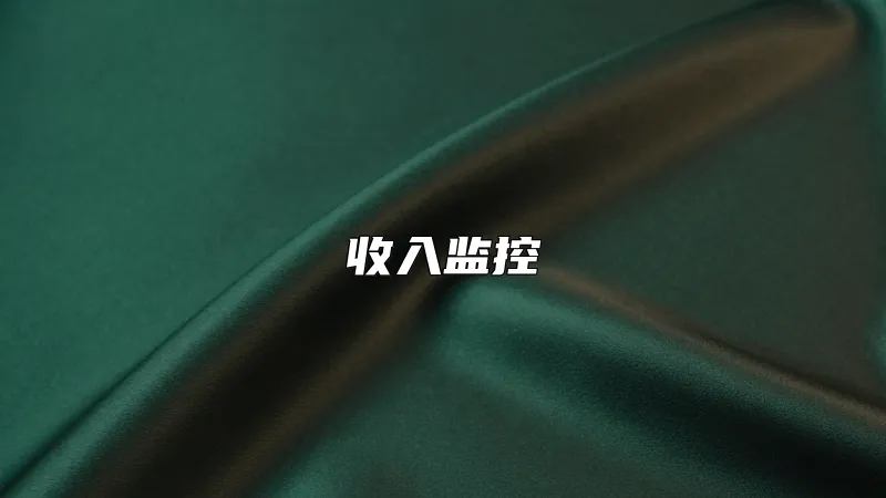 收入监控