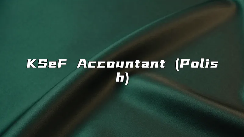 KSeF Accountant (Polish)