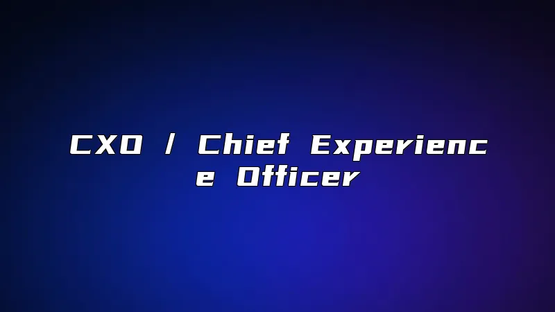 CXO / Chief Experience Officer