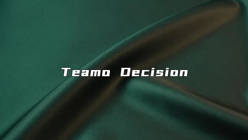 Teamo Decision
