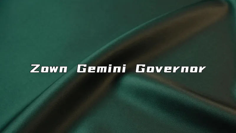 Zown Gemini Governor