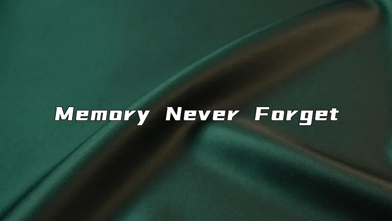 Memory Never Forget