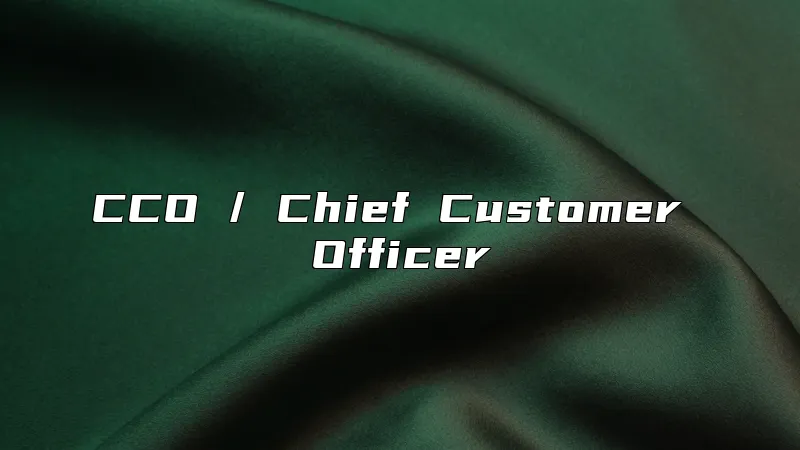 CCO / Chief Customer Officer