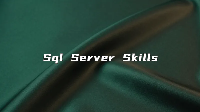 Sql Server Skills