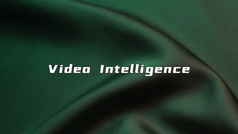 Video Intelligence
