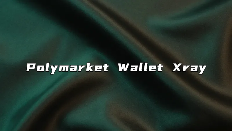 Polymarket Wallet Xray