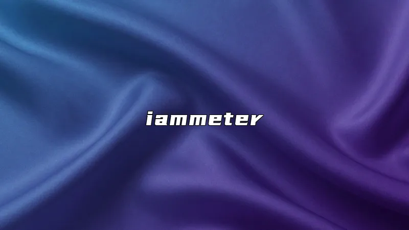 iammeter