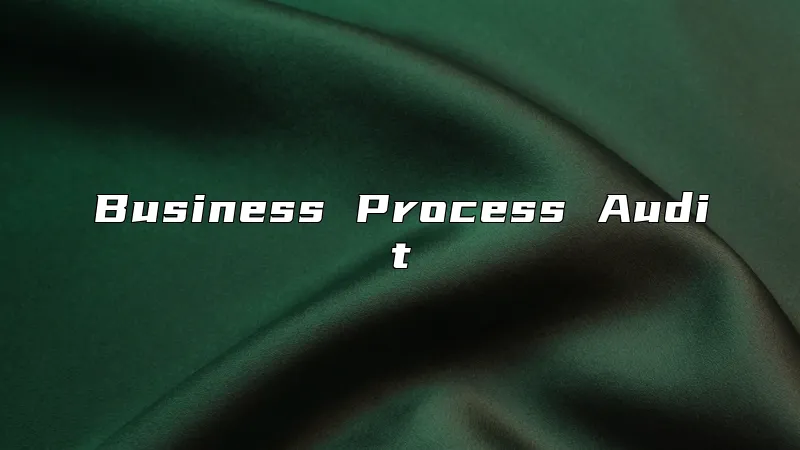 Business Process Audit