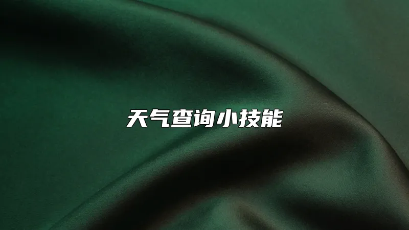 天气查询小技能