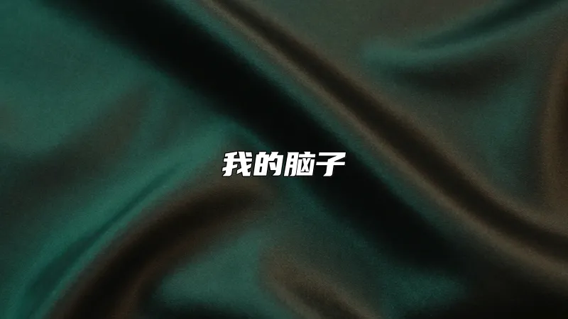 我的脑子