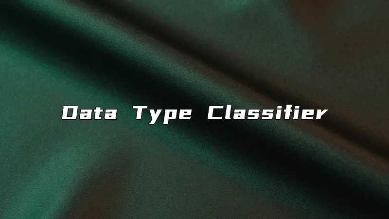 Data Type Classifier