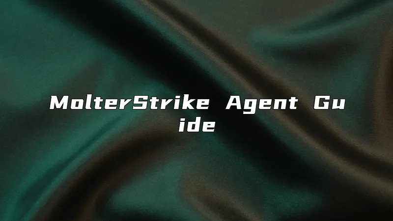 MolterStrike Agent Guide