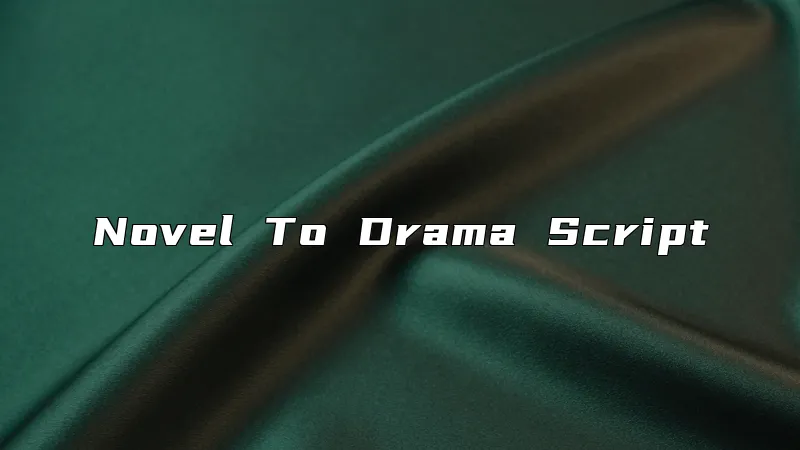 Novel To Drama Script