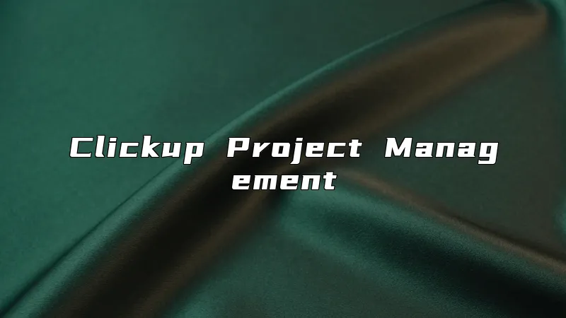 Clickup Project Management