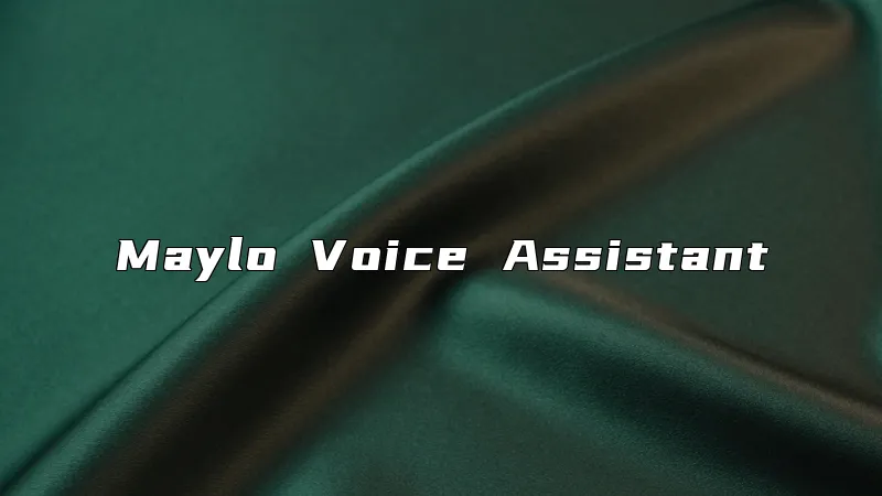 Maylo Voice Assistant