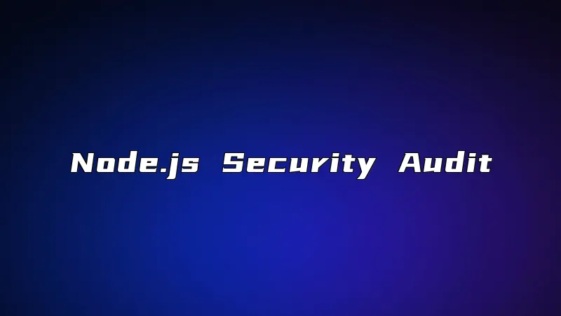 Node.js Security Audit