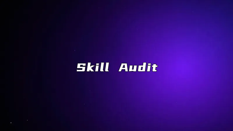 Skill Audit