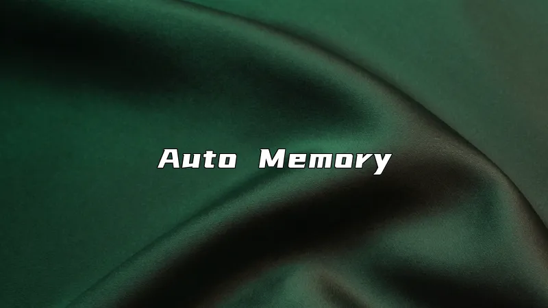 Auto Memory