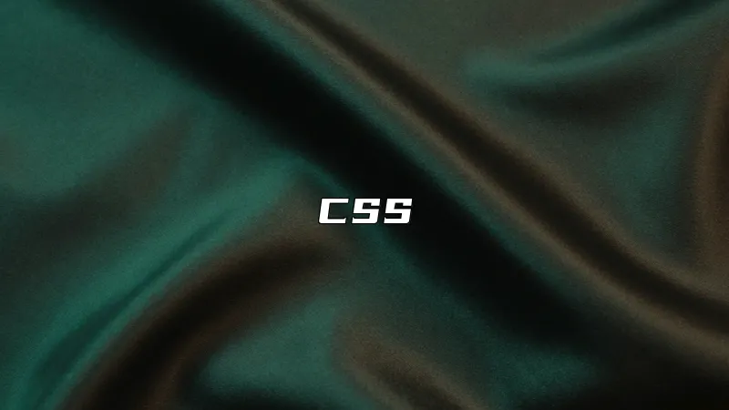 CSS